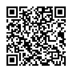 等我打断了你的腿你就知道了我为什么这么自信了二维码生成