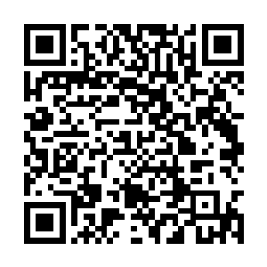 等手掌接触到乌宸的头发才想起来他还在惩罚期内二维码生成