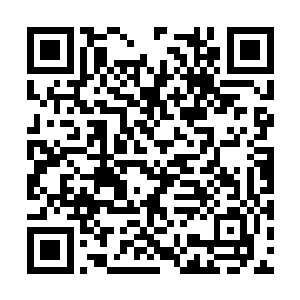 等晚上工作完了以后我带你去看看学校的交流舞会二维码生成