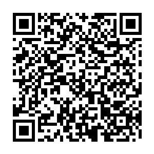 简出席了一个有着世界上所有发达国家和几个重要发展中国家的首脑会议二维码生成