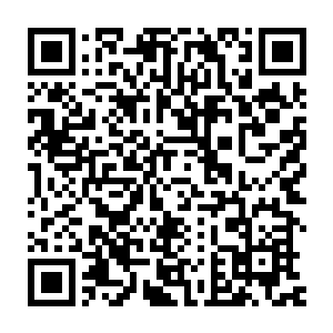 简离面无表情的看着昏暗地下空间中神色不忿的三百红袍护卫冷然说道二维码生成