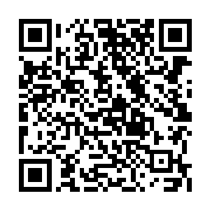算到谁家头上……浩然宗从来不理会这些是非的二维码生成
