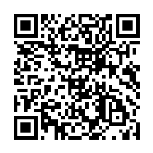 管家模样的那个老头已经带着邓公子从飞舟的舱门飞入二维码生成