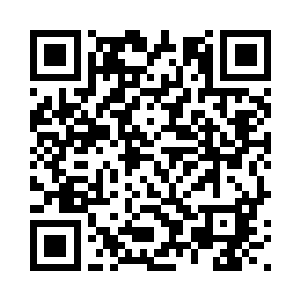 类似的宠物店至少也有个一百多家二维码生成