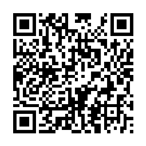 粗粝略带着金属碰撞般的铿锵声音让麦哲全身一震二维码生成