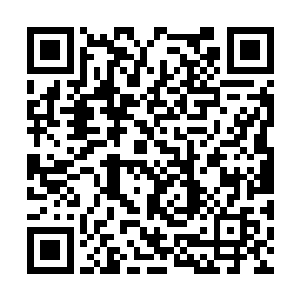 精彩绝伦的表演实现了演员生涯最重要的一次蜕变二维码生成