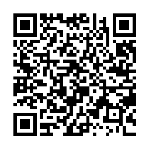 系着围裙的单娆一会儿从厨房溜出来给他一根胡萝卜二维码生成