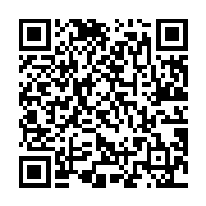 系统发布的任务其实只占了整个任务列表的很小一部分二维码生成