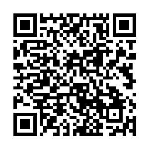 系统明确告诉了我把荆棘王冠交给了拜尔王室的某人二维码生成