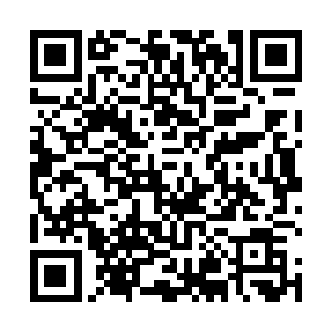 索性也不糟蹋自己的医术专精还有那么多世的人生阅历二维码生成