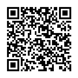 紧接着他竟然做出了一个让女帝都感到震撼的事情二维码生成