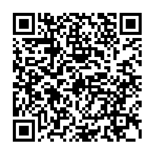 紧接着宫中又传出因溺水而陷入昏迷才稍好转的大皇子被二皇子所害的消息二维码生成
