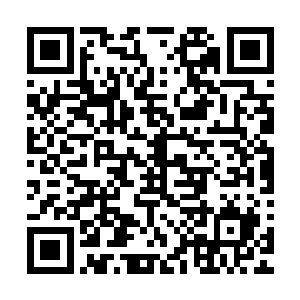 紧接着王氏兄妹带领遮天佣兵团的其他新入成员上前拜见叶尘二维码生成