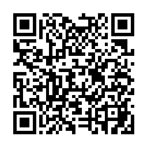 紧接着邪公也是再一次抛出了一个无比恐怖的价格二维码生成