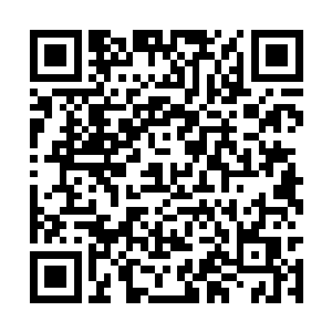 紧接着顿时用自己的小腹朝着两人的脚步迎了上去二维码生成