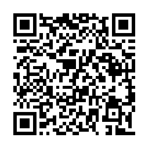 紫明月等人的脸上也是充满了弄弄的担忧的神情二维码生成