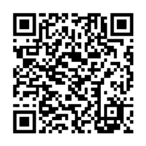 紫涟漪苦笑一声斩碎面前快要穿过灵气罩的几只虫子二维码生成