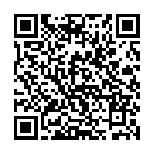 紫烟空间内的那个傀儡体内的真元疯狂地被吸收出去二维码生成