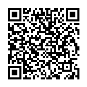 紫色的雷火和金色佛族功法也没有将禁制再撼动他从末世来二维码生成