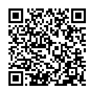 紫薇大帝的分身法相依然是那么随意的扬了一下手里的拂尘二维码生成