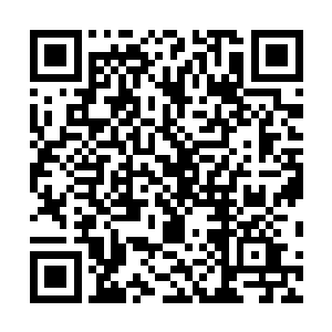 红莲心中对于十大守护家族的底蕴又有了一种全新的认知二维码生成