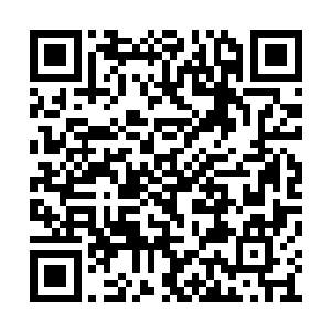 纤细几不可见的骨头……犹如一幅最美的后背图二维码生成