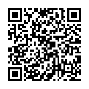 纪氏这时候也追究不出张姨娘是从哪儿打听的消息了二维码生成