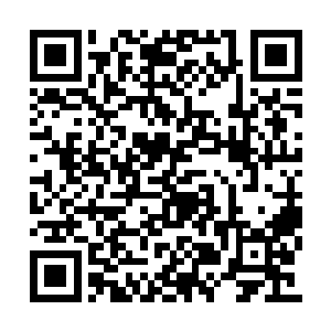 纯粹是用来改善神岛观众位徒子徒孙的生活条件二维码生成