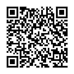 纯能量等非物质攻击的抗性和驾驭能力都有了显著加强二维码生成