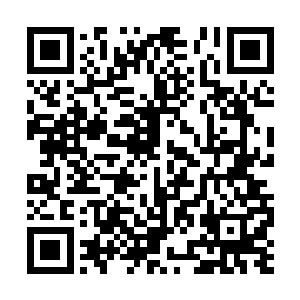 纳甲土尸扛着柳兰芳和陈柳燕往蓝人下见馆里面走二维码生成