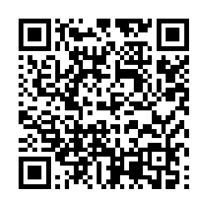纵然他运用云中手杀伤力极强的几种风格去对付萧航二维码生成