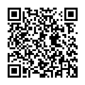 纵然是修为臻至仙尊境四重天的玄灵上人同样也被击飞了出去二维码生成