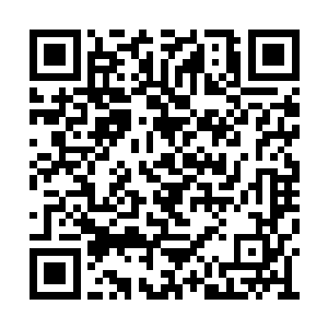 纸上完全就是一座缩小的孤峰和一群缩小的妖鸦二维码生成