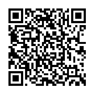 细密油黑而又卷曲的毛发掩映着那道嫣红的缝隙二维码生成