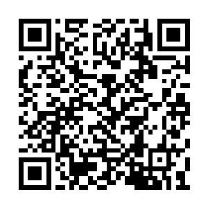 细细地观察着燕山魂体内的天道轨迹和天地之桥二维码生成