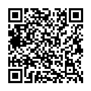 终于借着陆庭舟和自己的力道攀附到了他腰身处二维码生成