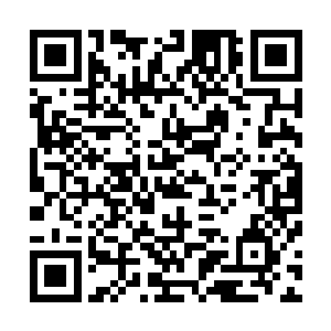 终于发现如今追在他后面的武装直升机居然多达了二十多架二维码生成