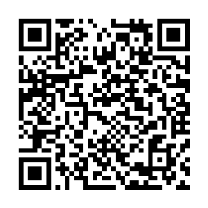 终于和切萨雷一起登上了回家的保姆车――几乎是才一上车二维码生成