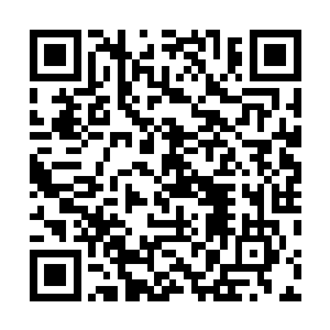 终于在一家不算大的五金店买到了那种拴大型犬的铁链子二维码生成