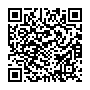 终于在芮阁下楼之前把一份商业投资计划书的草案拟好了二维码生成
