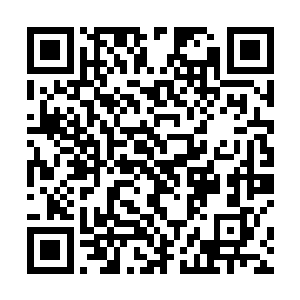 终于真正解放了的世界树枝桠也毫无顾忌的扭动着身躯二维码生成