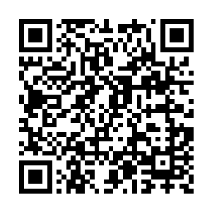 终于还是不得不成人定王殿下真是太英明睿智了二维码生成