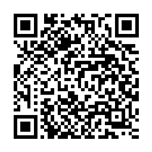 终有一日不是死在朝廷手中就是死在将来夺得天下之人的手中二维码生成