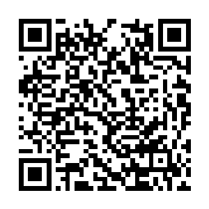 终究她不能和像娇娇一样勇敢地追随他一起向上走二维码生成