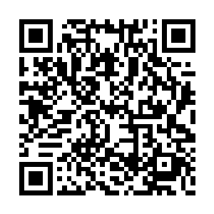 终究还是让他们打通了空之域通往风岚域的通道二维码生成