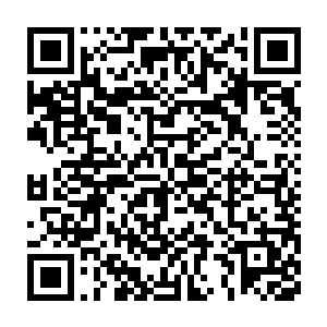 经受过前苏联地区严寒的巴克穿着t恤在赤道附近怎么都不觉得冷二维码生成