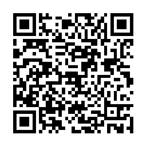 经过训练的猎犬和军犬会很容易的辨识出这些气味二维码生成