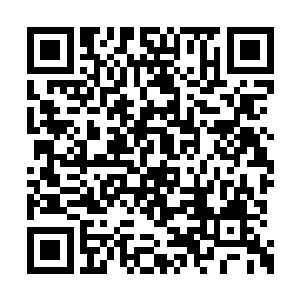 经验老道的兽人皇依旧没有进亲自入战场的意思二维码生成