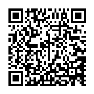 结果全都给我身后的无限魂披直接生拉硬拽扯入了披风之中二维码生成