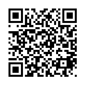 结果发现璀璨夺目的蓝凤凰绕身旋转二维码生成